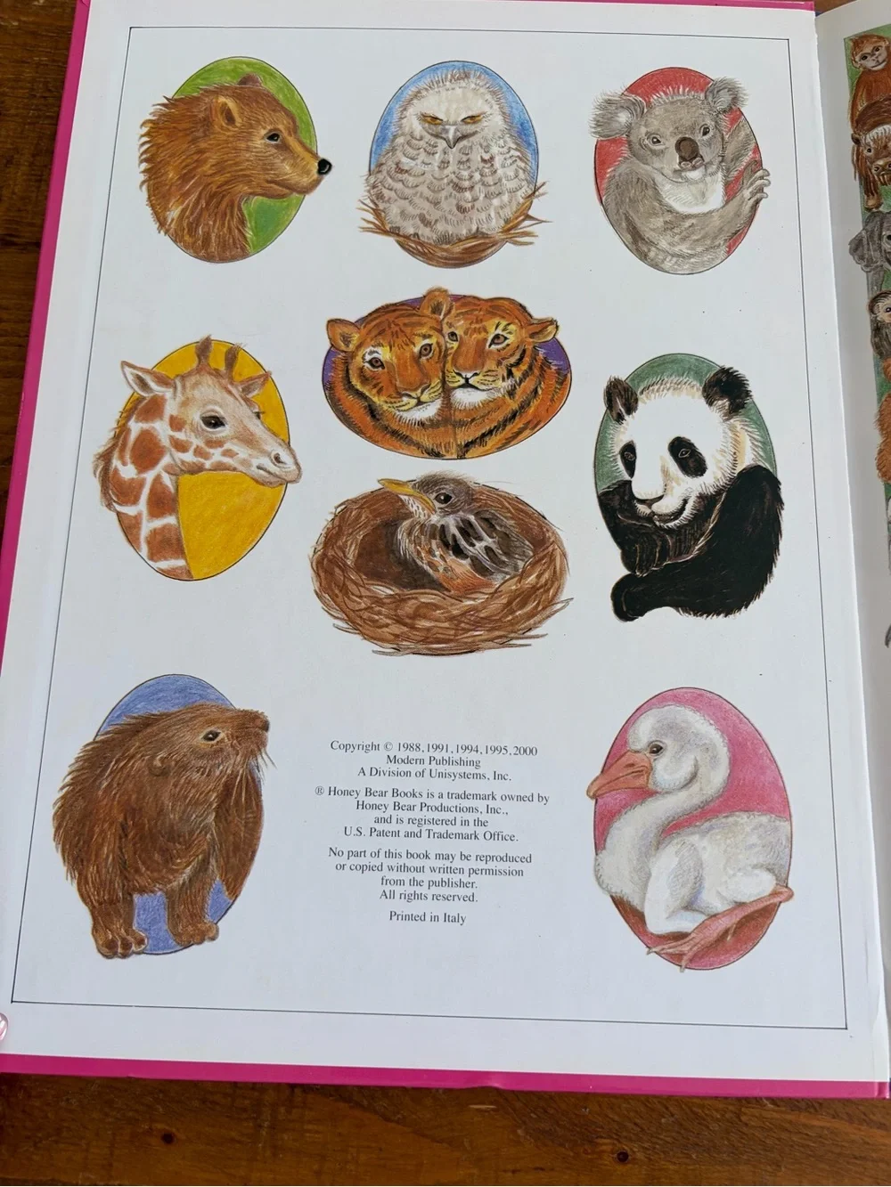 Baby Animals Mother Nature's Animal World Karen Rissing Children’s Book